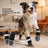 Non-slip cotton socks for medium and large dogs in Black, front view