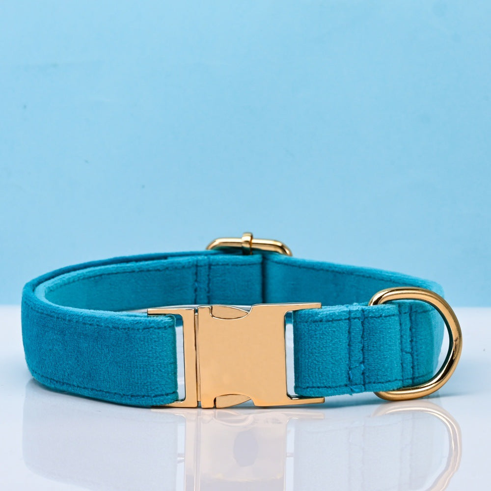 Soft velvet dog collar with metal buckle, ideal for everyday use