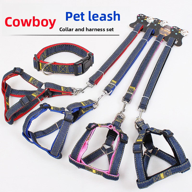 Soft red harness and lead on a small dog