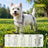 Anti-slip dog shoes with TPE soles and straps, product image 38