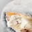 Grey semi enclosed long pile velvet cat bed, view 3