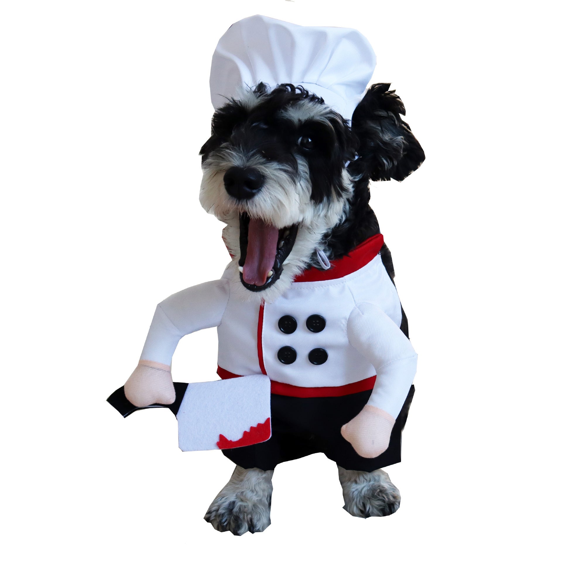 Selection of funny Halloween and Christmas costumes for pets