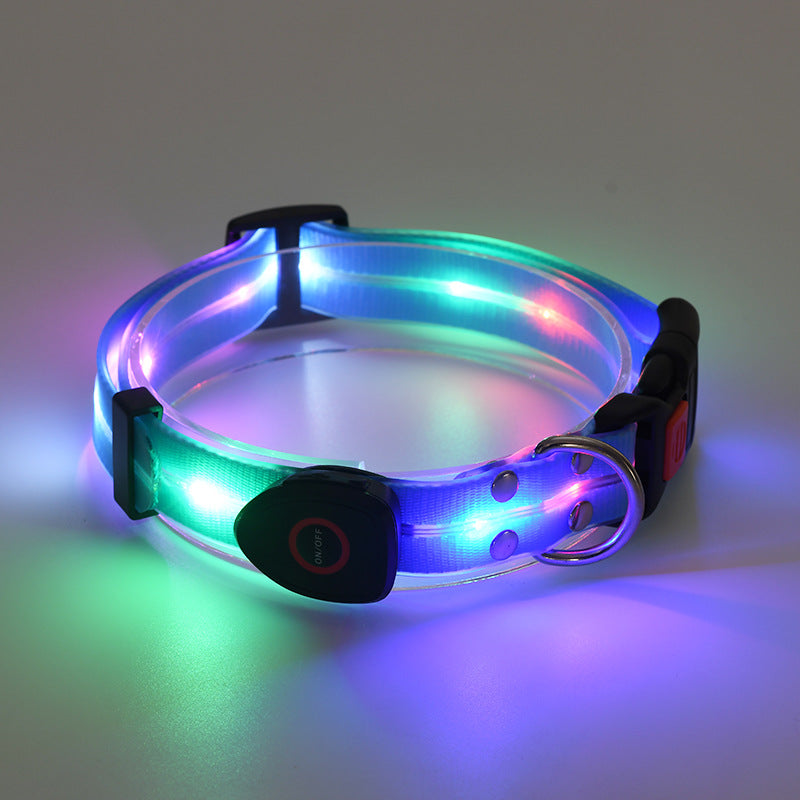 USB rechargeable LED dog collar and lead in Orange Collar, in a home setting