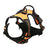Reflective burst proof dog harness in orange with matching lead