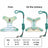 Breathable mesh small dog harness and lead set, ideal for everyday use