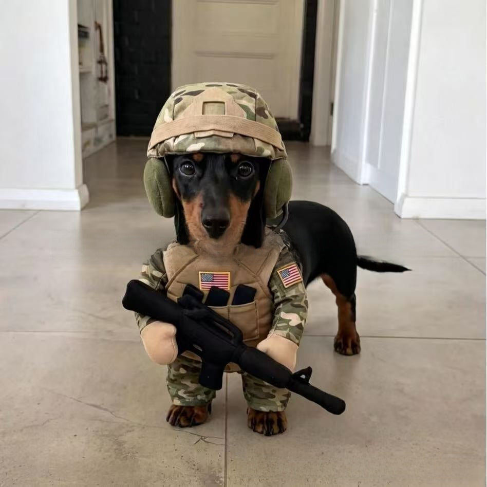 Dog dressed in a cartoon soldier costume with hat