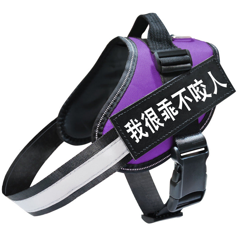 Reflective adjustable dog harness in blue on a walking dog