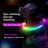 Rechargeable glowing LED dog collar for night walks, view 2
