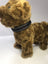 Adjustable buckle pet collar in bright colours for dogs, view 30