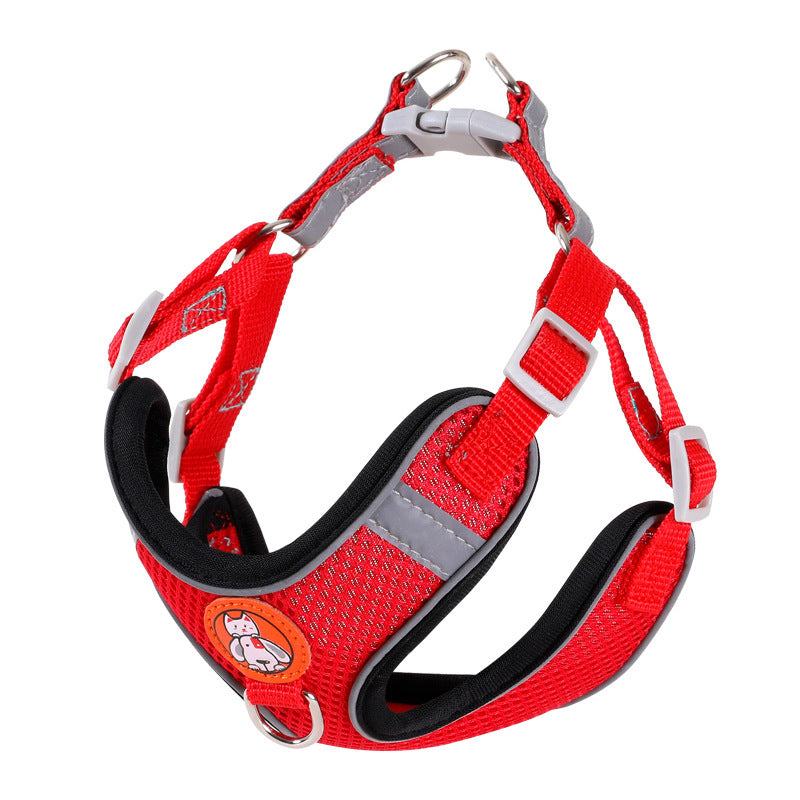 Reflective nylon harness or lead for small pets, available from Pet Royale UK