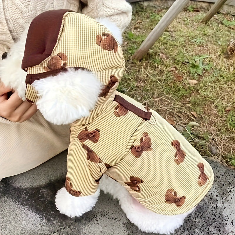 Warm padded dog coat and hat set with lead ring, in a home setting