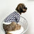 Blue and white cotton dog t shirt, in Blue and White, image 2