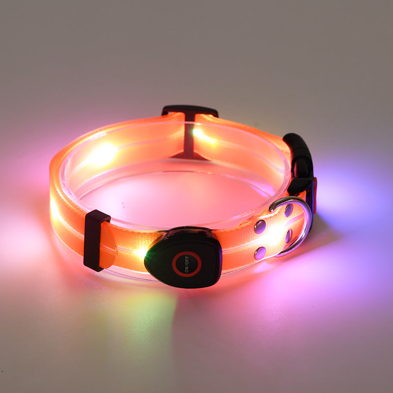 USB rechargeable LED dog collar and lead in Green Purple Collar, material detail