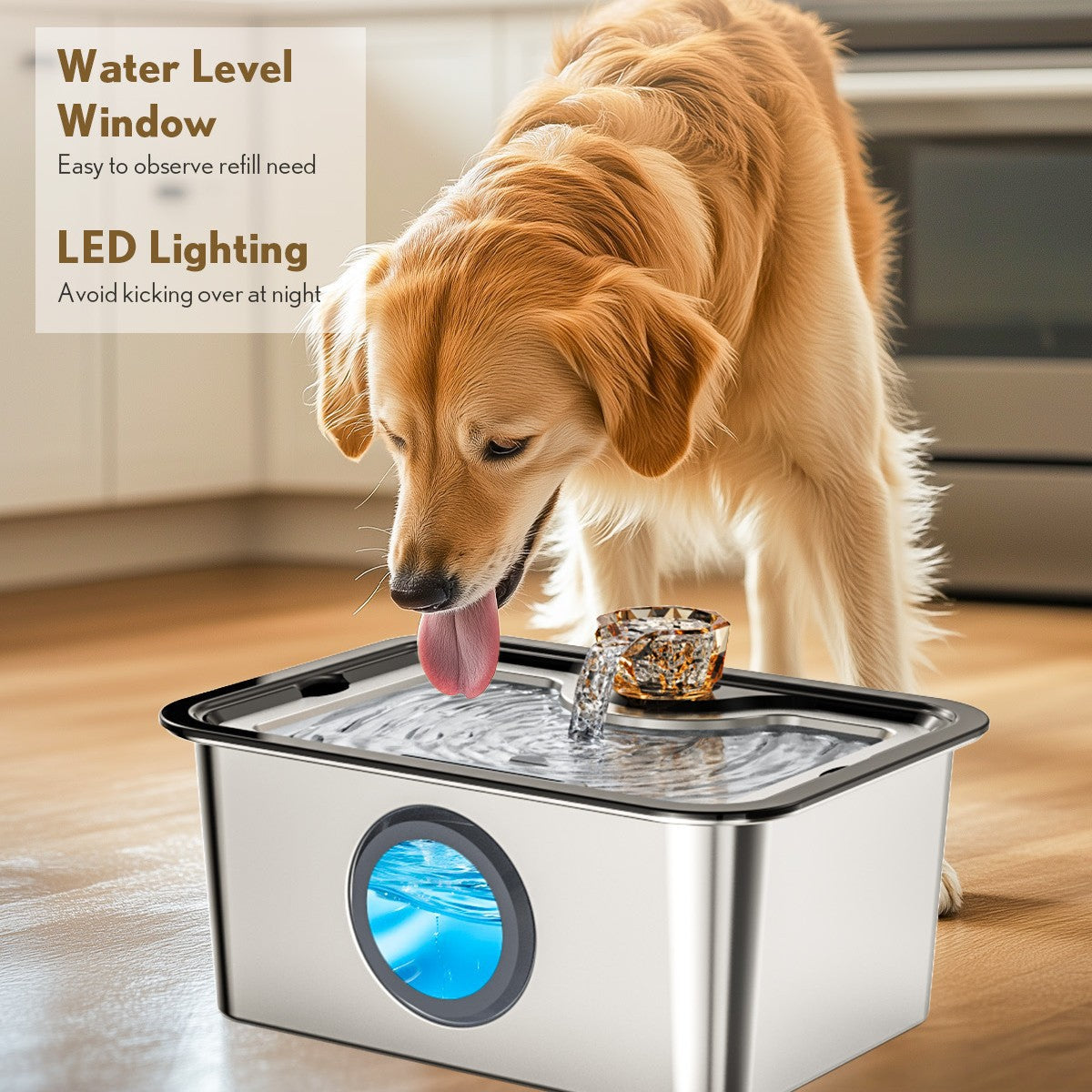 12L Stainless Steel Automatic Pet Water Dispenser with Dirt Separation Filter