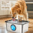12L Stainless Steel Automatic Pet Water Dispenser with Dirt Separation Filter