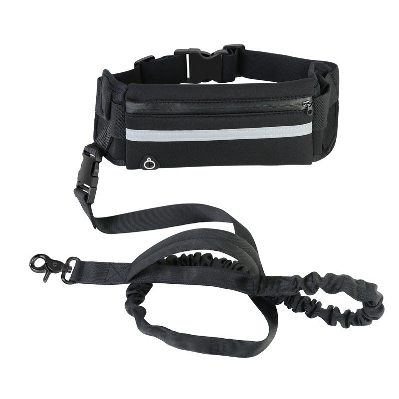 Running dog leads with waist belt in five colours