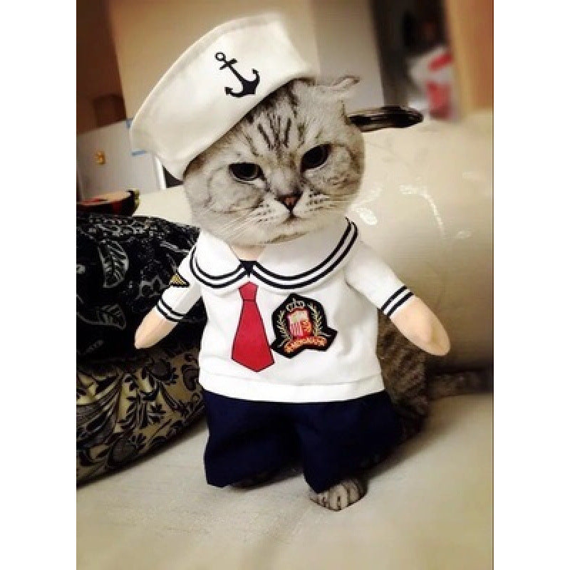 Cat dressed in a funny pumpkin head Halloween costume