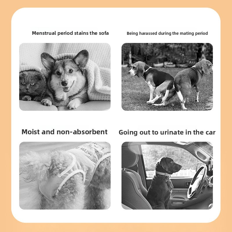 Washable cotton season pants for female dogs, available in 2 colours, image 2