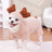 Four leg dinosaur jumpsuit for dogs and cats, available in 11 styles, image 52