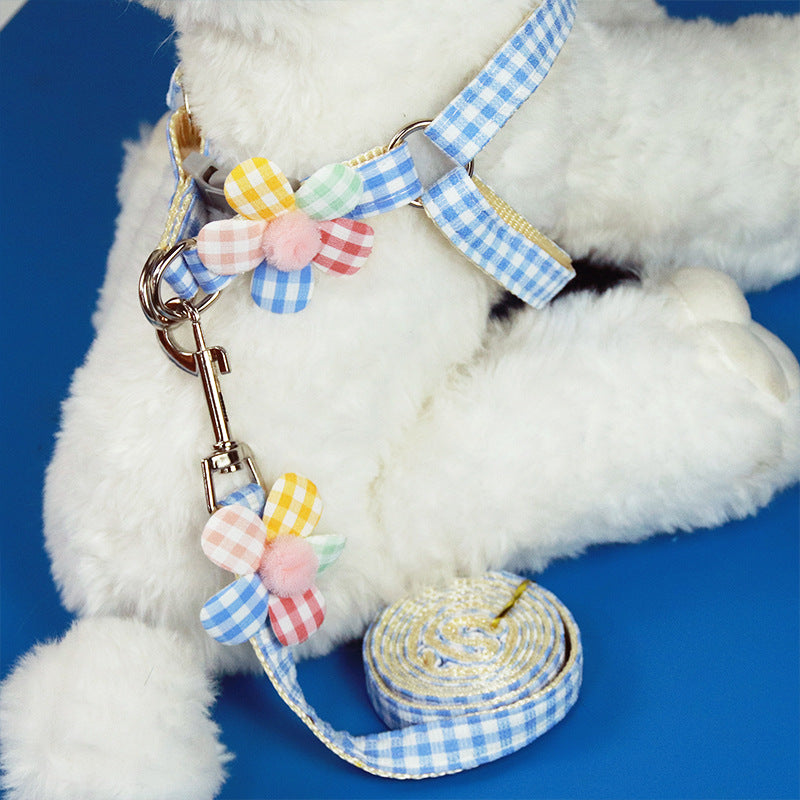 Printed chest harness and lead set for small dogs, main product photo