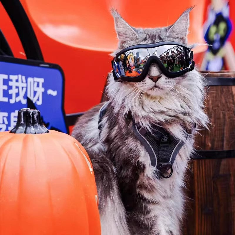 H-shaped cat harness and lead set in polyester, product image 2