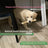 Coffee wood dog chew in large size - view 4