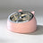 Stainless Steel Pet Food Bowl with Slanted Opening and Non-Slip Silicone Base, 100ml