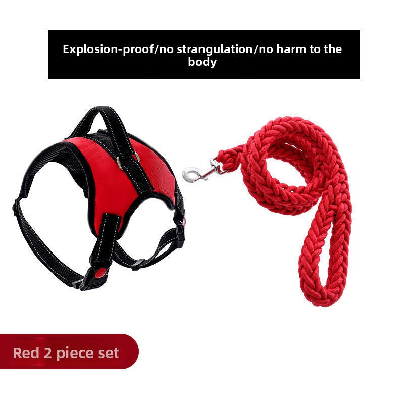 Blue nylon harness for large dogs with braided rope lead