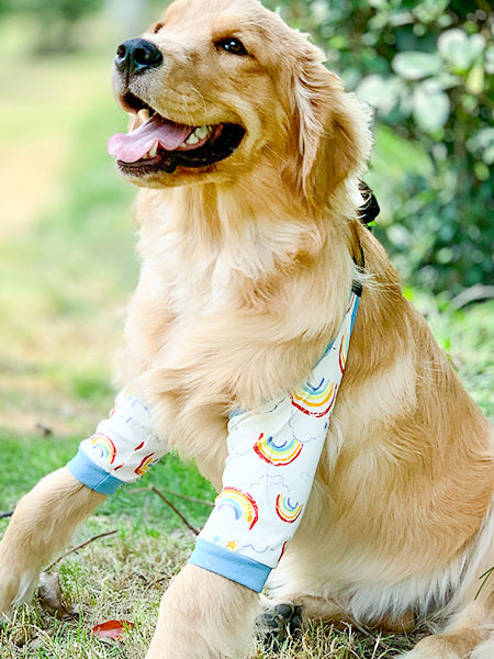Breathable dog elbow sleeves in rainbow and owl prints
