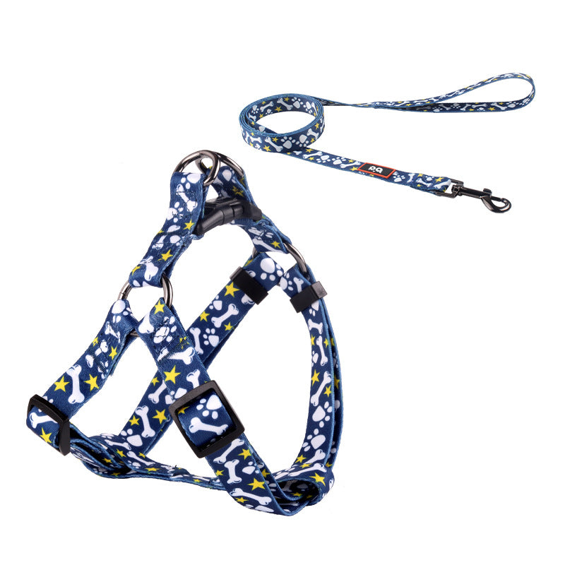 Printed dog collar with star pattern and matching lead