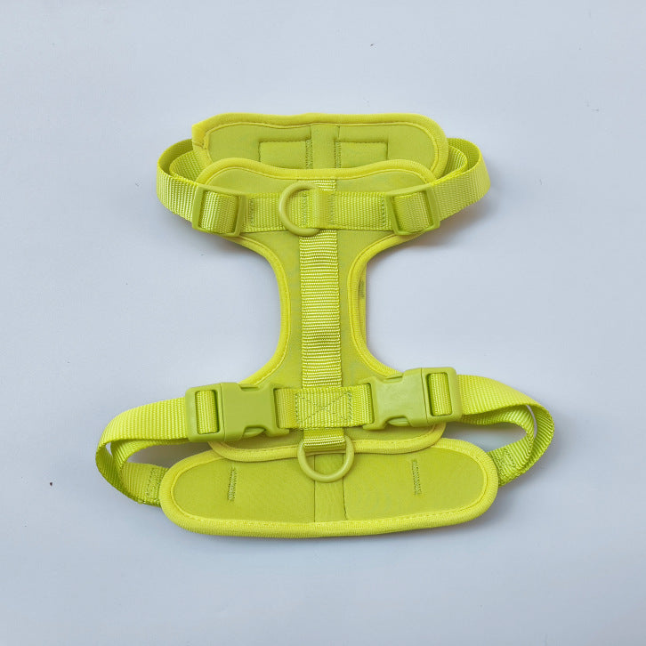 PVC dog harness lead and collar set in bright colours, main product photo