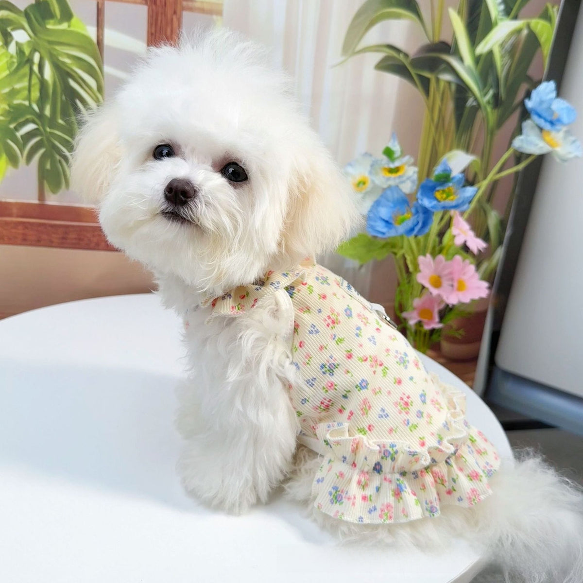 Floral strap skirt dress for dogs and cats, available in 3 colours, image 2