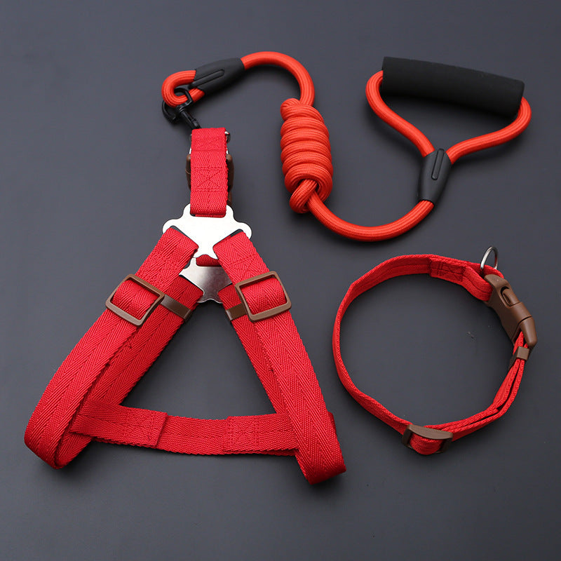 Padded nylon dog harness set with matching collar and lead in red