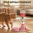 Cordless Pet Bowl