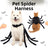 Spider Halloween costume harness for cats and dogs, product image 2