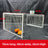 White metal pigeon loft landing cage with one way door, view 11