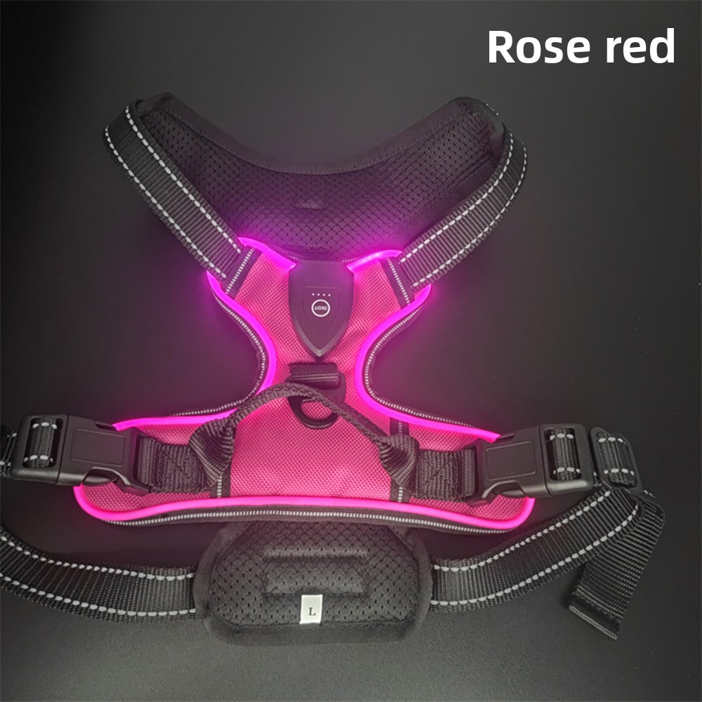 LED light-up dog harness for night walks, product gallery photo