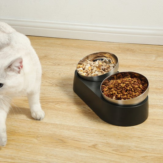 Pet Feeding Bowl