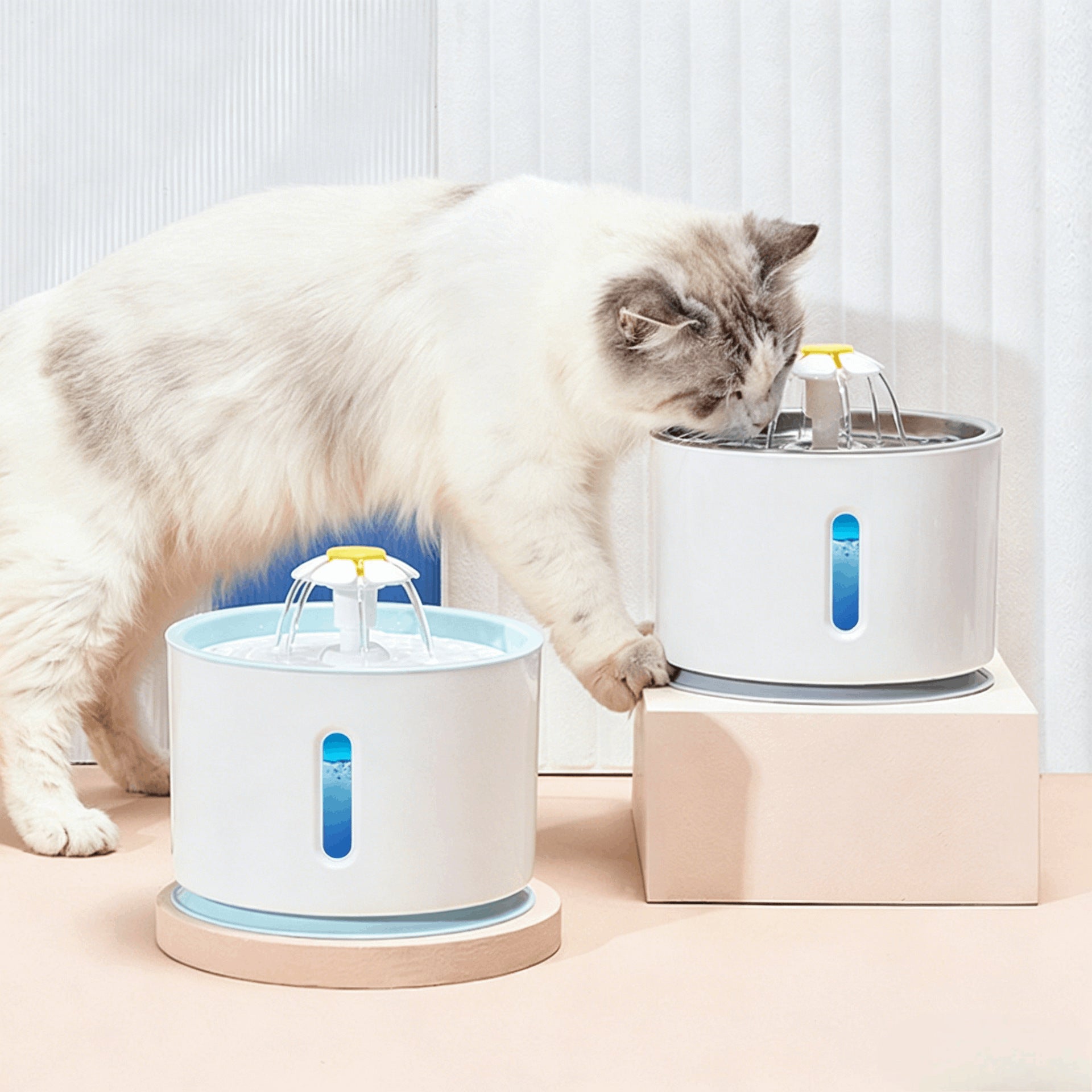 2.4L Pet Water Fountain with Flower-Shaped Spout, Filter and Quiet Pump for Cats
