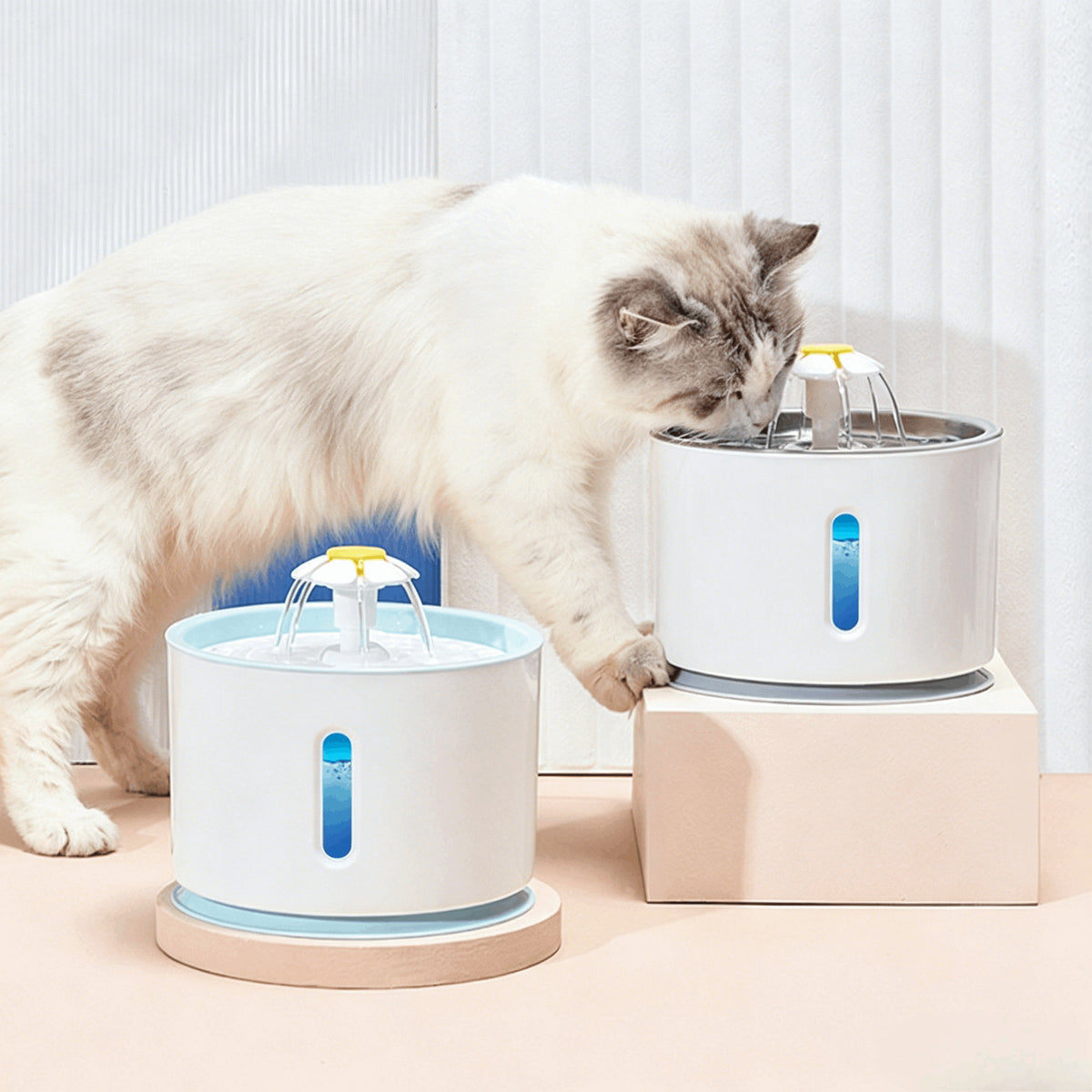2.4L Pet Water Fountain with Flower-Shaped Spout, Filter and Quiet Pump for Cats