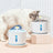 2.4L Pet Water Fountain with Flower-Shaped Spout, Filter and Quiet Pump for Cats