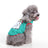 Selection of Christmas and Halloween pet costume designs