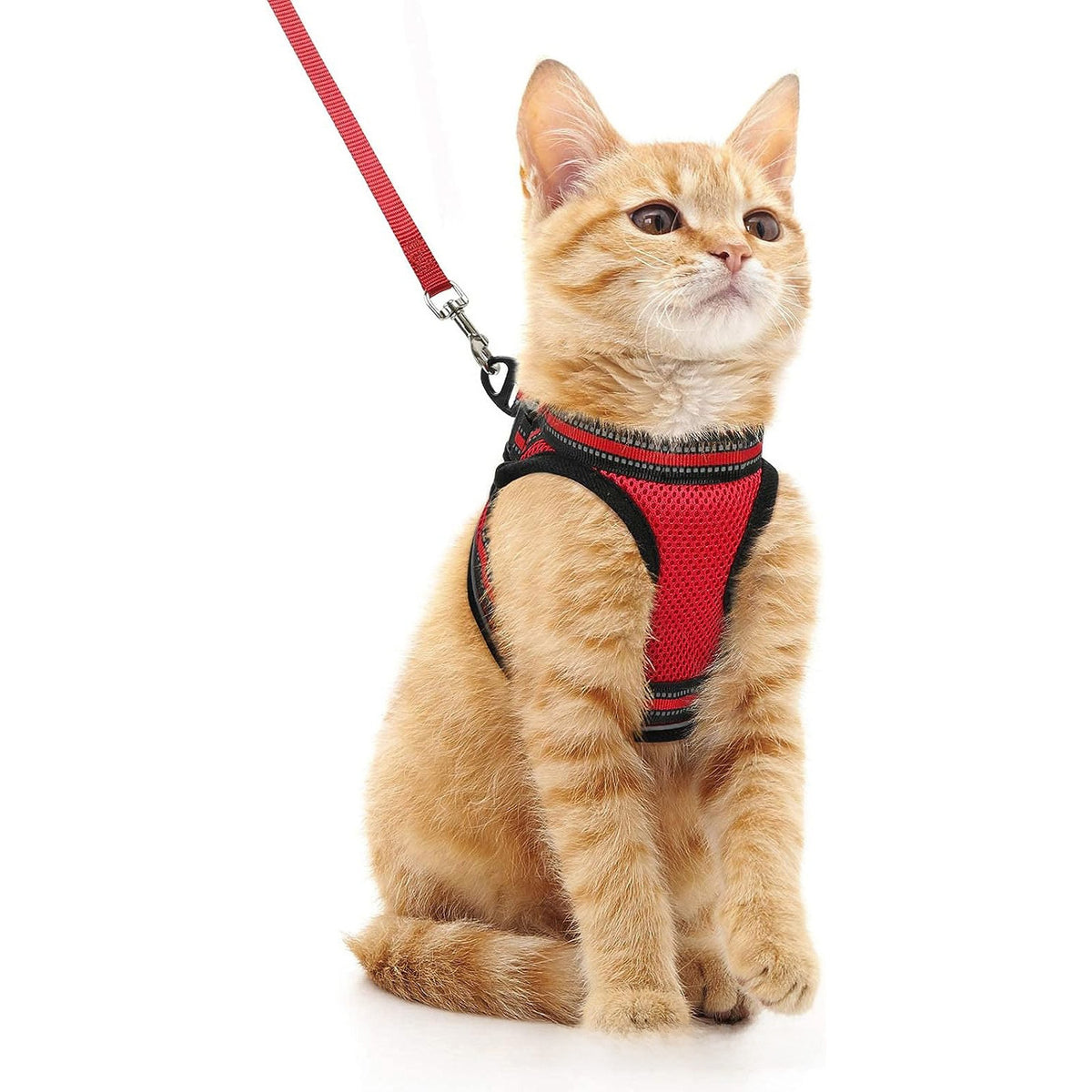 Escape-proof reflective harness and lead set in 5 colour options