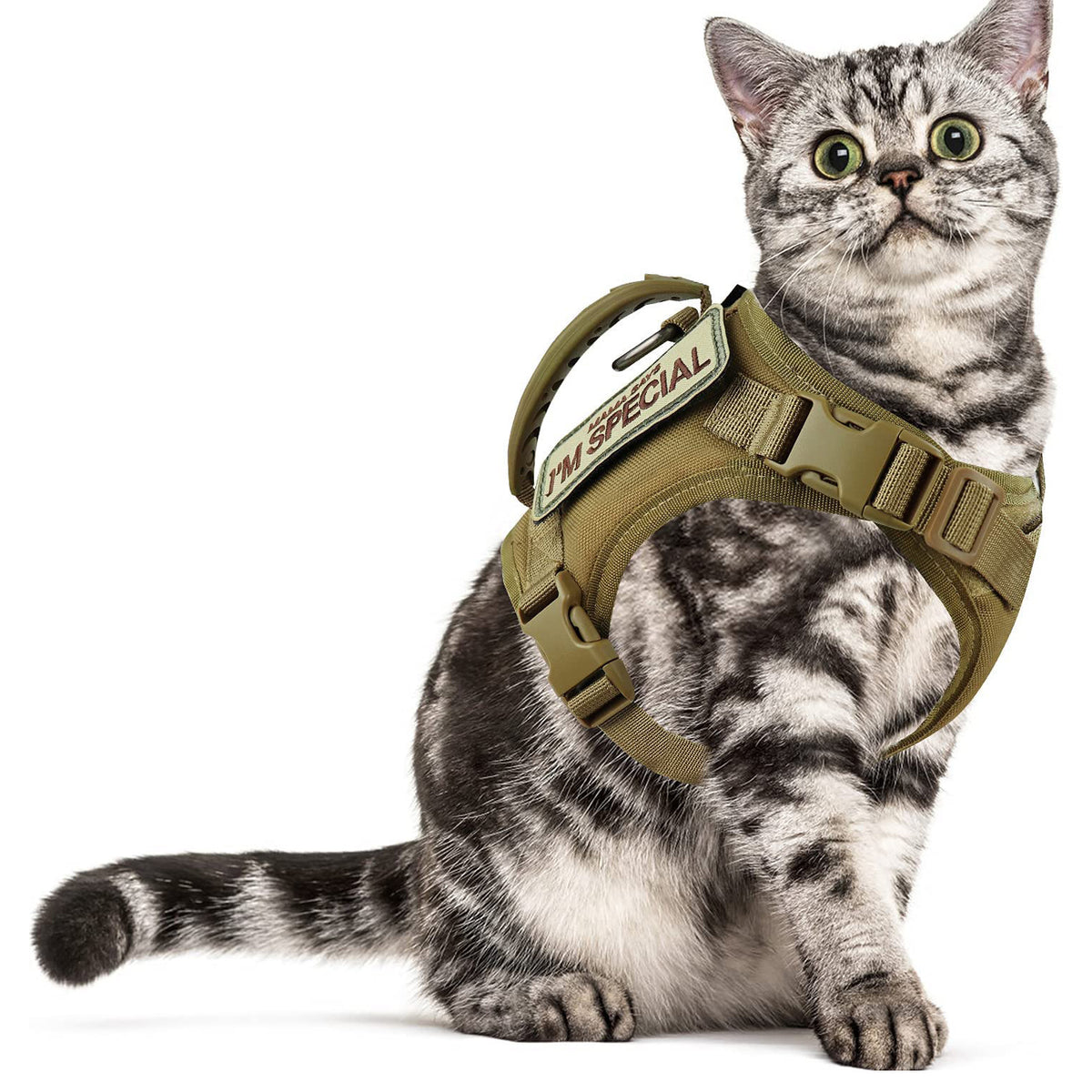 Tactical MOLLE cat harness vest in nylon, product image 2