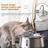 Stainless Steel Pet Water Dispenser