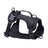 PVC dog harness lead and collar set in bright colours, main product photo