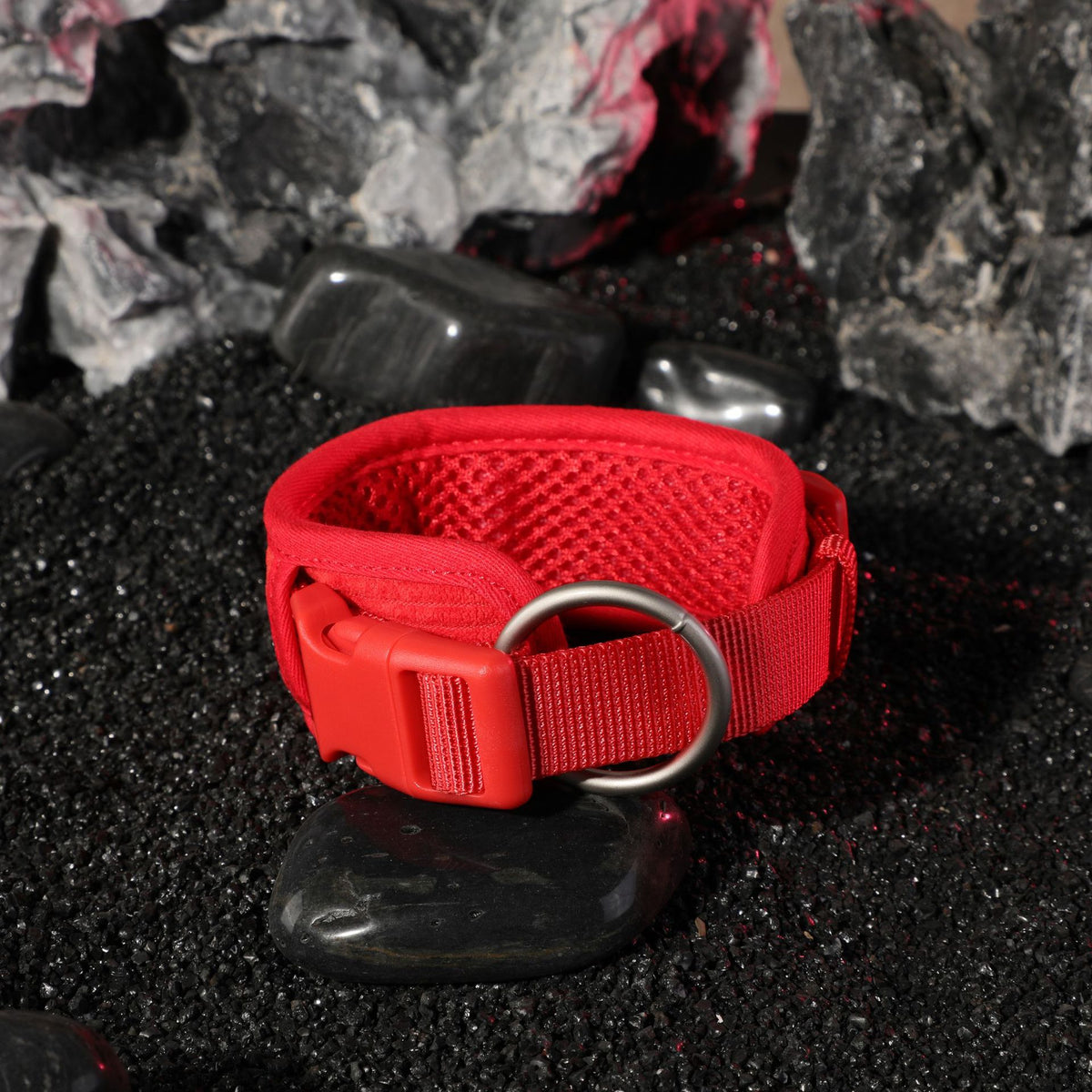 Romantic red corduroy dog harness collar and lead set, 4 sizes available