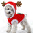 Christmas coral fleece dog outfit with reindeer design in Red, front view