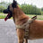 Reflective vest harness for medium and large dogs, ideal for everyday use