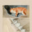 Four-season pet bed with cushion pad for dogs and cats, photo 5